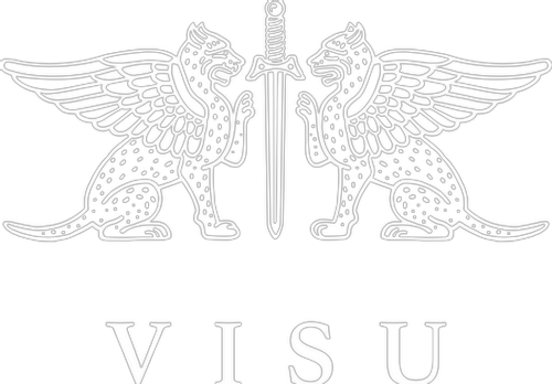 VISU logo