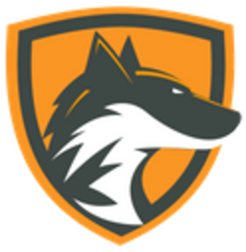 Team DeftFox logo