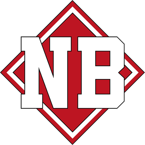NewBelarus logo