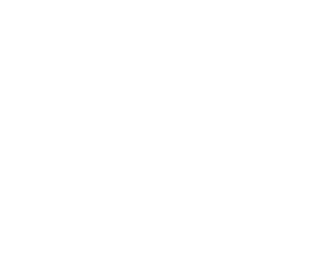 Spirit Academy Black logo