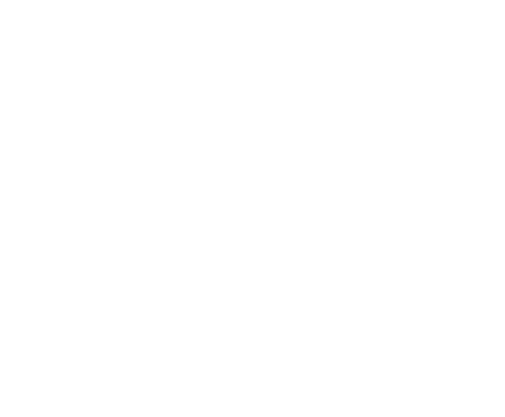 NIC logo