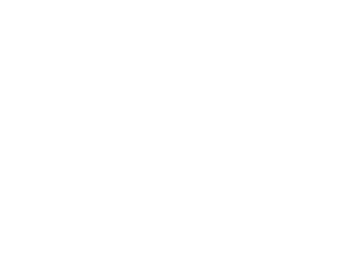 FOKUS REALITY logo