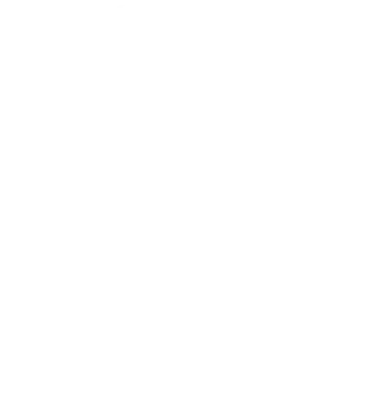 Team LEISURE logo