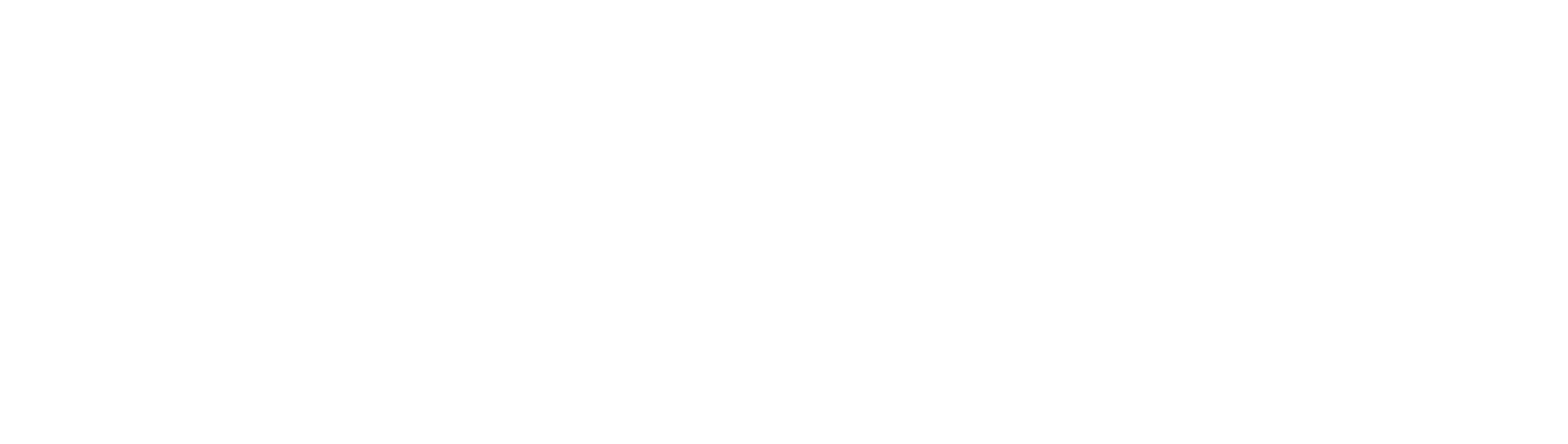 FRZ logo