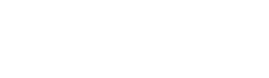 DNK logo