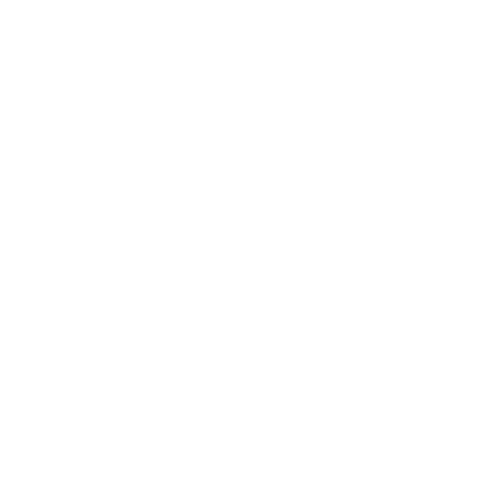 Liberty fe logo