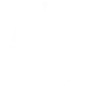 LEO logo