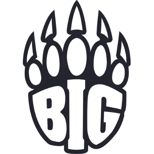 BIG logo